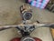 2001 Harley-Davidson Softail Base
