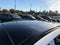 2026 Kia Sportage X-Line Premium Technology Pkg